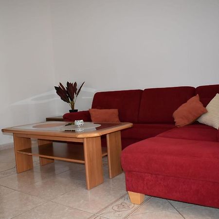 Pet Friendly Apartment Murvi 50 Novigrad  Exterior photo